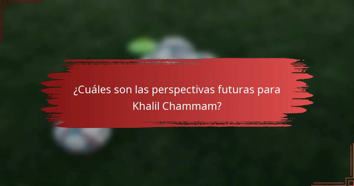 ¿Cuáles son las perspectivas futuras para Khalil Chammam?