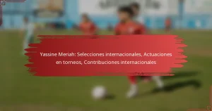 Yassine Meriah: Selecciones internacionales, Actuaciones en torneos, Contribuciones internacionales