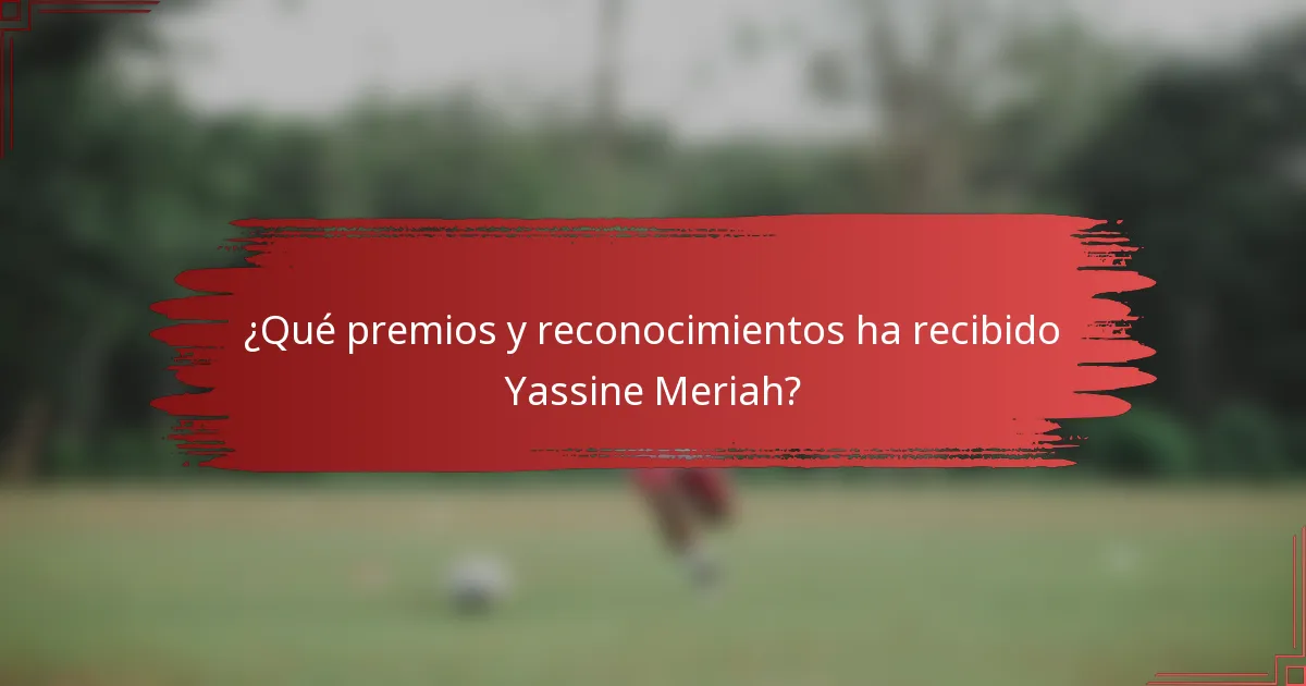 ¿Qué premios y reconocimientos ha recibido Yassine Meriah?